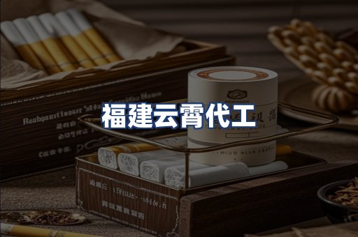 福建云霄代工